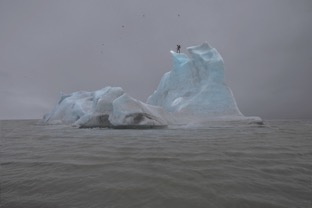 02_MT_JulianCharriere_TheBlueFossilEntropicStories_email