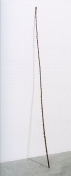 Cane